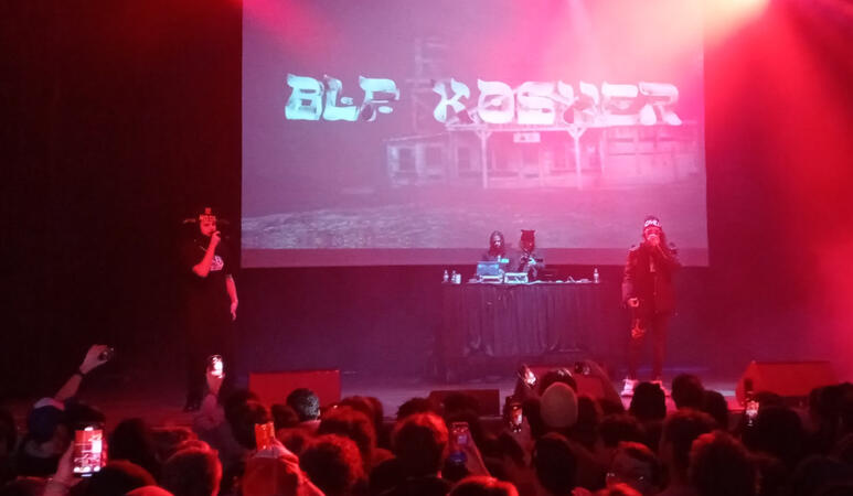 blp kosher &amp; babytron